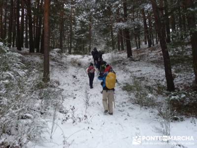 Ruta arroyo de la Chorranca; excursiones fin de semana desde madrid;excursiones avila 